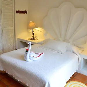 https://las-palmas-palma-xiat-cocoyol.quintano-roohotels.com